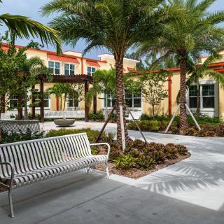 A serene courtyard with palm trees and a bench, surrounded by buildings.