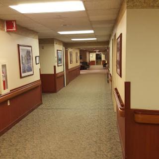 A well-lit hallway with carpeted flooring and decorated walls.