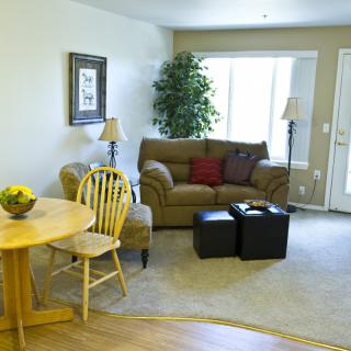 A cozy living room with a sofa, table, chairs, and decorative plants.