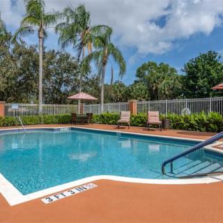 A tranquil outdoor swimming pool surrounded by palm trees and lounge chairs on a sunny day.