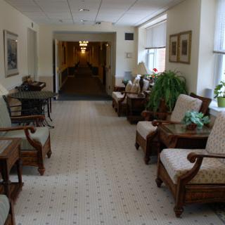 A well-decorated hallway with seating arrangements and greenery.