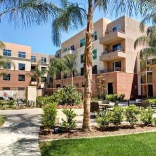A modern apartment complex surrounded by palm trees and well-maintained landscaping.