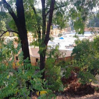 A view of a construction site partially obscured by trees, showcasing the blend of nature and development.