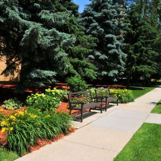 A park scene with benches beside a sidewalk, surrounded by trees and flowers.