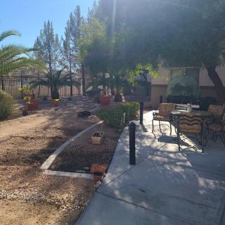 A sunny yard with trees, a pathway, and outdoor furniture.