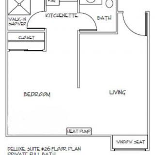 A floor plan of a studio apartment featuring a kitchenette, bathroom, bedroom with walk-in closet, and living area.