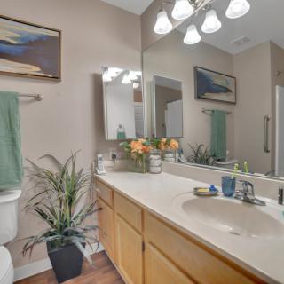 A modern bathroom with a large mirror, double sink, and decorative elements such as plants and artwork.