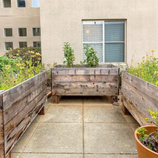 A rooftop garden featuring wooden raised beds and potted plants, set against an urban backdrop.