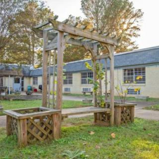A wooden garden structure with plants in an outdoor courtyard near a building.