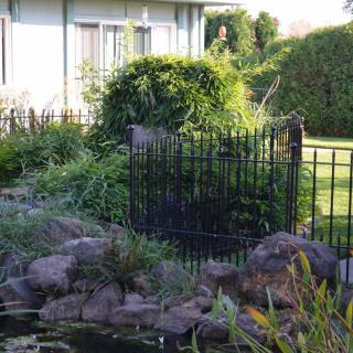 A serene garden with a pond and surrounding greenery, enclosed by a decorative metal fence.