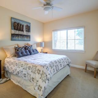 A cozy bedroom with a neatly made bed, decorative pillows, and natural light coming through the window.
