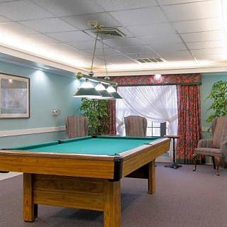 A well-lit game room featuring a billiard table surrounded by comfortable chairs and greenery.