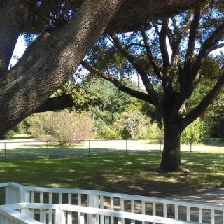 A serene view of a park with large trees and a white fence.