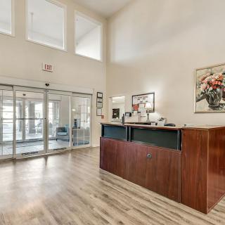 A modern reception area with a wooden desk and bright lighting.