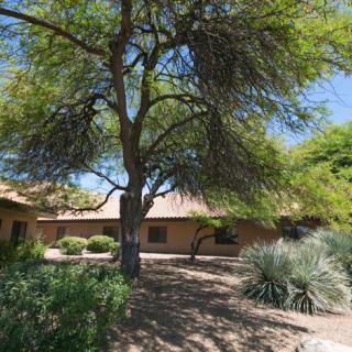 A desert landscape featuring a house surrounded by trees and native plants.