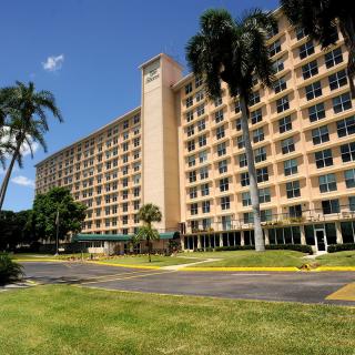 A large hotel building with palm trees surrounding it, set against a clear blue sky.