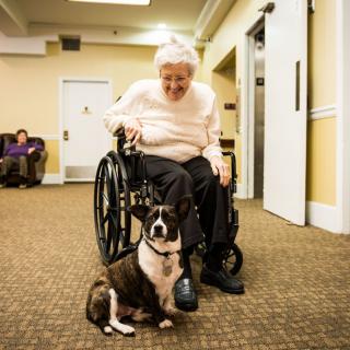 An elderly person in a wheelchair enjoys the company of a dog in an assisted living facility.