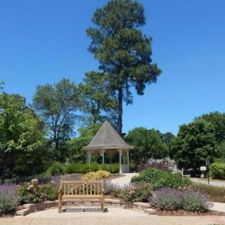 A peaceful garden with a bench, gazebo, and surrounding trees under a clear blue sky.
