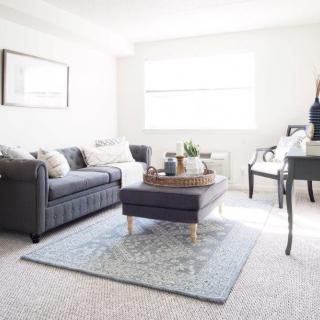 A bright and inviting living room featuring a gray sofa, stylish coffee table, and ample natural light.