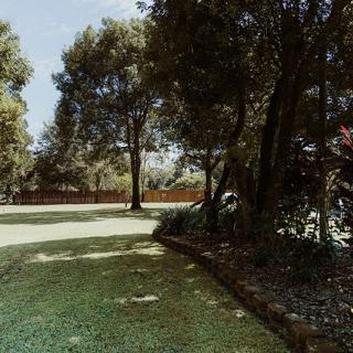 A serene garden view with lush greenery and tall trees basking in sunlight.