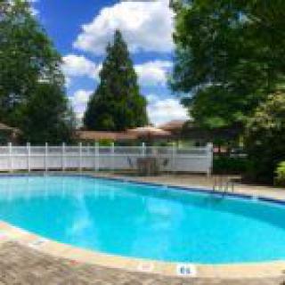 A serene outdoor swimming pool surrounded by trees and under a clear blue sky.