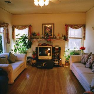 A cozy living room featuring two sofas, plants, and a television with natural light streaming in.