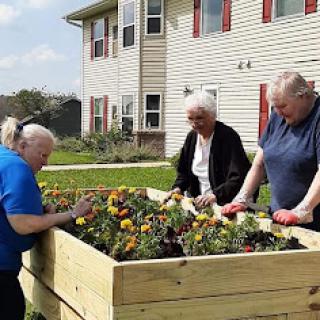 Three individuals engage in gardening, tending to a colorful raised flower bed.