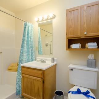A bathroom featuring a shower with a blue curtain, a vanity with a mirror and sink, a toilet, and wall-mounted cabinets.