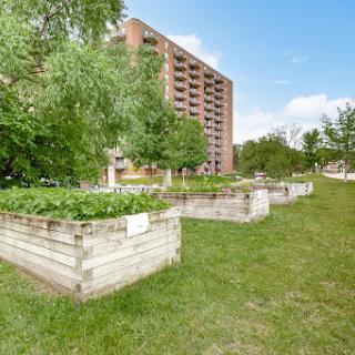 A community garden featuring raised beds in front of a residential building, surrounded by lush greenery.