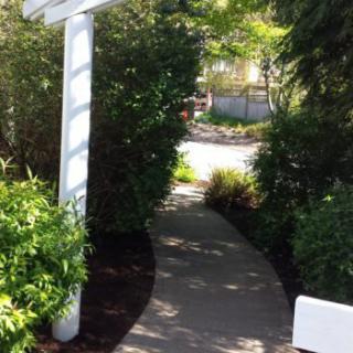 A sunlit garden pathway surrounded by lush greenery.