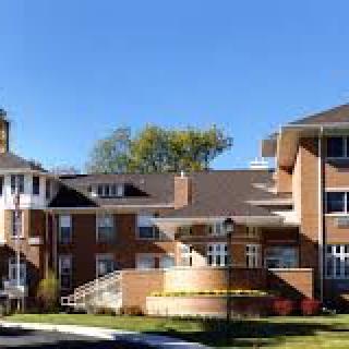 A sunny day view of a brick residential building surrounded by trees.