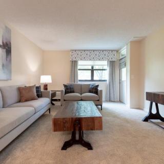 A cozy and well-decorated living room with a comfortable sofa, a wooden coffee table, lamps, and large windows with curtains.