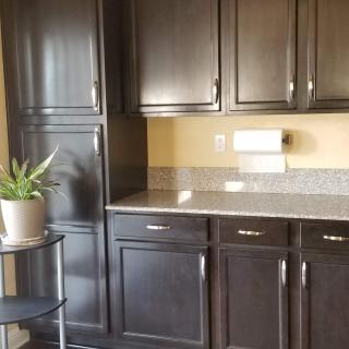 Modern kitchen with dark wood cabinets and a potted plant.