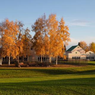 A serene autumn landscape featuring vibrant yellow trees and a charming building under a clear blue sky.