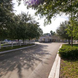 A tree-lined driveway leading to a building with a white fence.