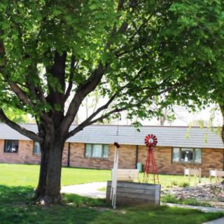 A quiet yard featuring a large tree, a small windmill, and a brick building in the background.