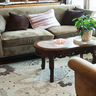 A cozy living room with a comfortable sofa, a wooden coffee table, and an indoor plant.