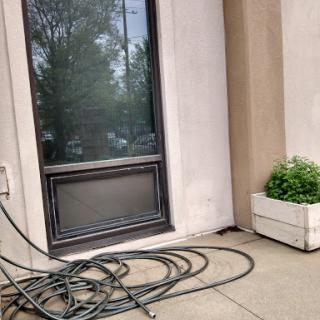 A view of a door and window with a potted plant, accompanied by a garden hose on the concrete.