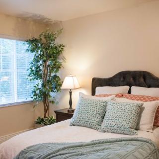 A cozy bedroom with a neatly made bed, soft pillows, a lamp on the bedside table, and a large plant near the window.