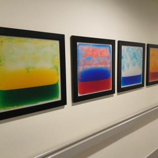 A row of abstract, colorful paintings displayed in a gallery.
