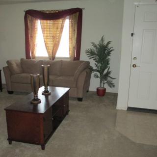 A cozy living room featuring a sofa, coffee table, and indoor plant.