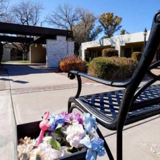 A peaceful outdoor scene with a bench, colorful flowers, and surrounding architecture on a sunny day.