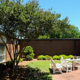 A serene garden space featuring outdoor furniture and lush greenery under a clear blue sky.