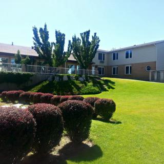 A sunny day view of a well-maintained lawn with bushes and trees in front of residential buildings.