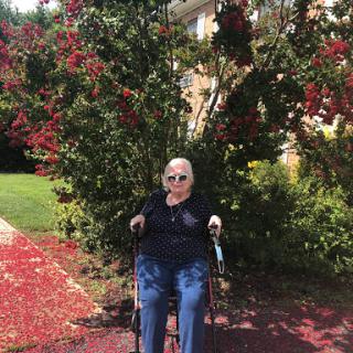 An elderly person enjoying a sunny day outdoors in their wheelchair, surrounded by vibrant greenery and flowers.
