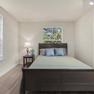 A cozy and modern bedroom featuring a bed, nightstand, and natural light from the window.