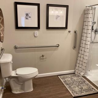 An accessible bathroom featuring a toilet, shower, and grab bars with decorative wall art and a floor mat.