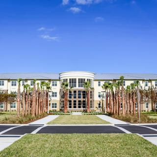 A modern three-story building with palm trees lining the entrance under a clear blue sky.