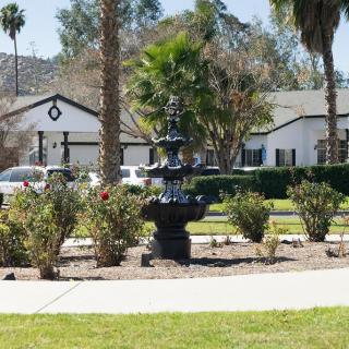 A garden with a fountain and a house in the background, surrounded by palm trees on a sunny day.