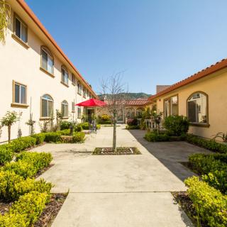 A sunny courtyard with a pathway lined by greenery between two buildings.